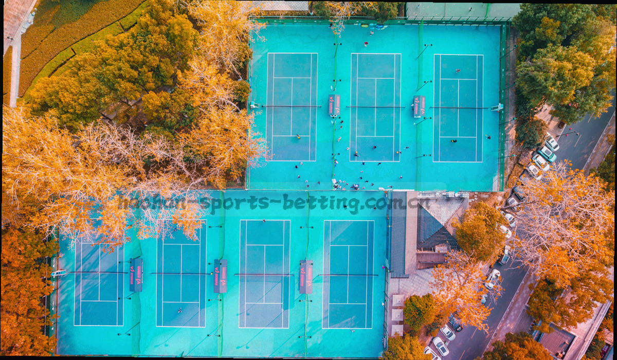 倒计时环与刷新脉冲曲线组成的更新节奏示意图